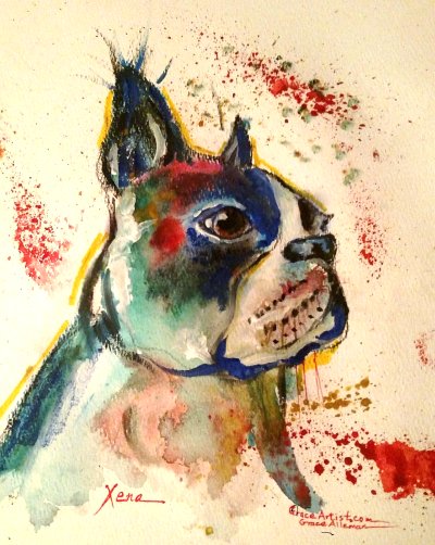 WATER COLOR BOSTON BULL