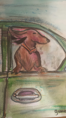 dog in car window