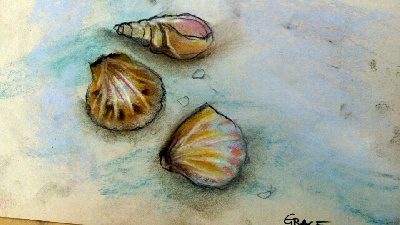 seashells